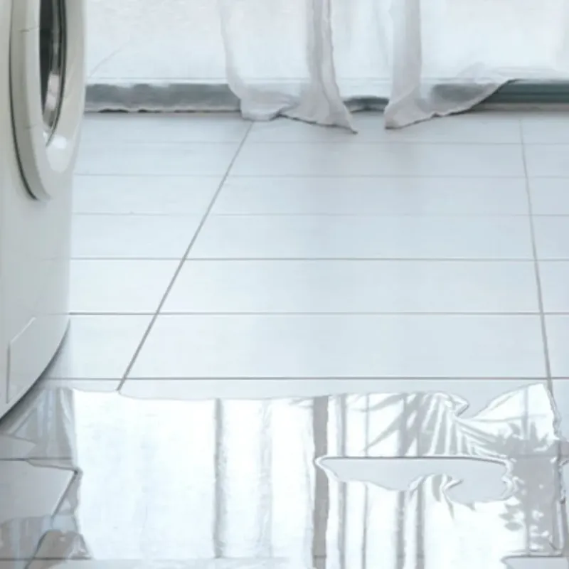 Appliance Leak Cleanup in Corsicana, TX