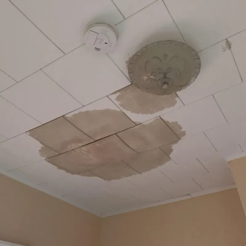 Ceiling Water Damage Repair in Corsicana, TX