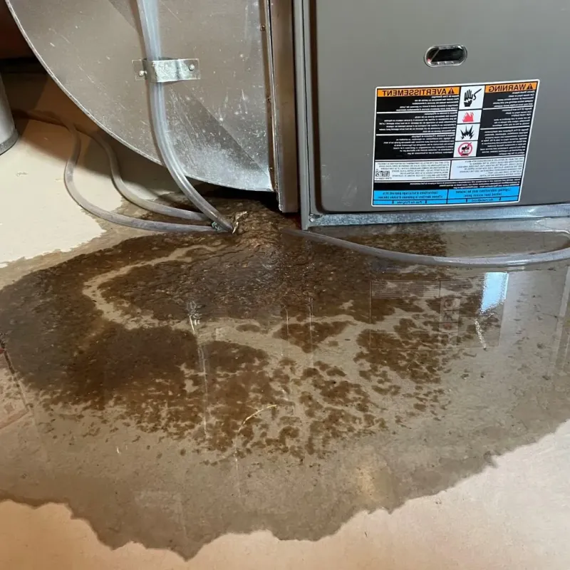 Pipe Burst and Leak Restoration in Corsicana, TX